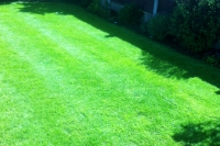 Lawn after treatment